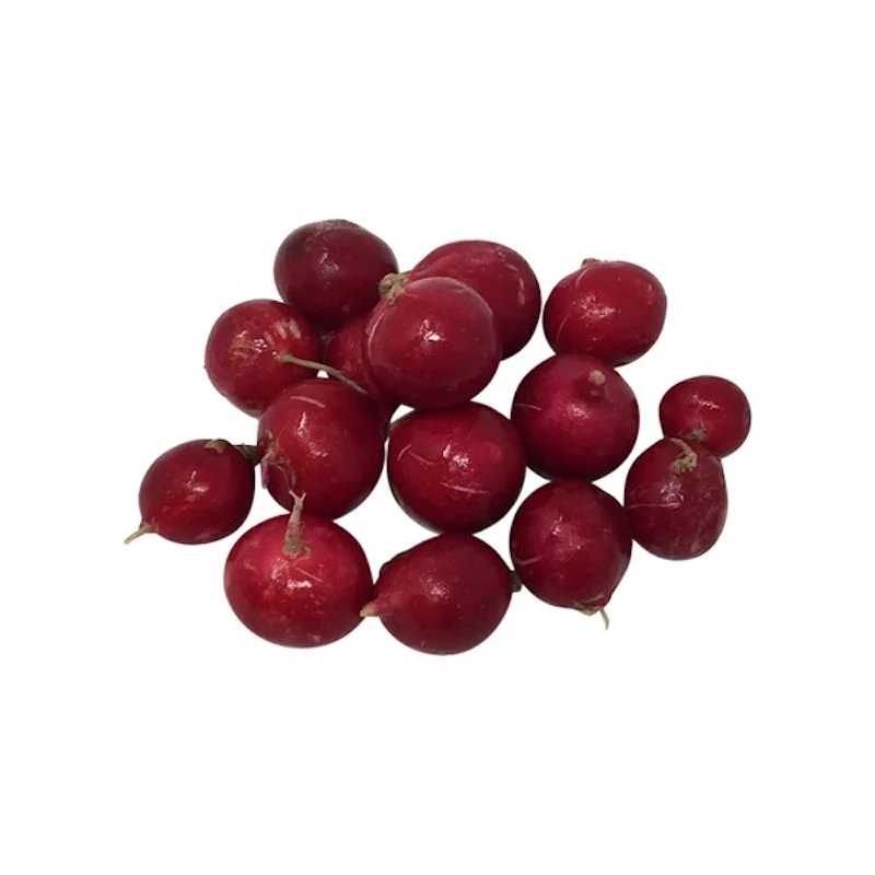 Radishes Ea