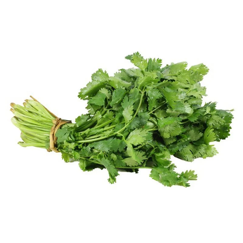 Cilantro Ea